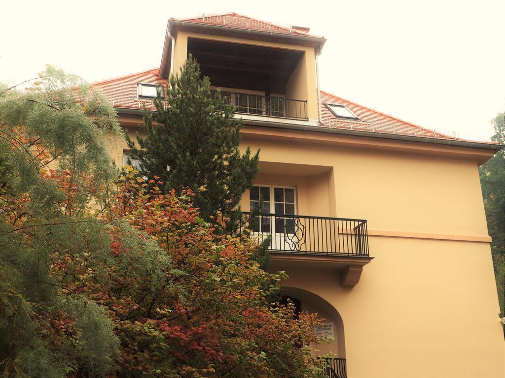 Apartments Smag Obere Burgstrasse Pirna Exteriör bild